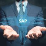 SAP Basis support service