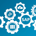 sap implementation consultant